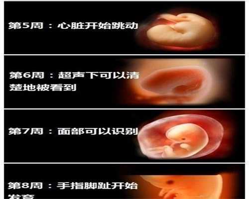 广州代孕可以在医院做吗_广州代孕产子价格生子_孕妇中期可以