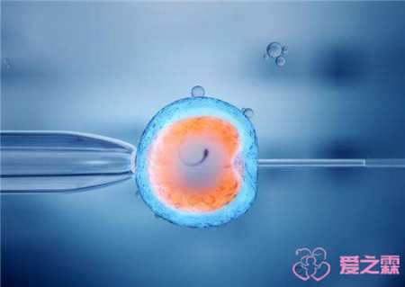精因宝贝生殖中心在哪里[供卵私人机构]+试管婴儿可以是龙凤胎 