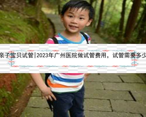 广州亲子宝贝试管|2023年广州医院做试管费用，试管需要多少钱？